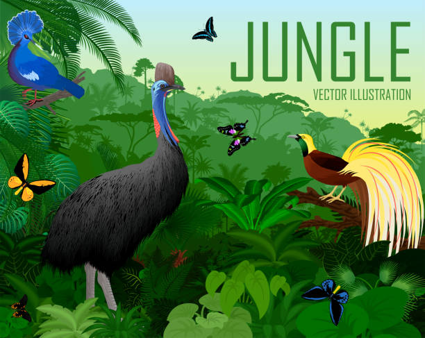 Vector Papua New Guinea jungle forest with  victoria crowned pigeon, cassowary, Lesser Bird of Paradise with birdwing butterflies Vector Papua New Guinea jungle forest with  victoria crowned pigeon, cassowary, Lesser Bird of Paradise with birdwing butterflies paradisaeidae stock illustrations