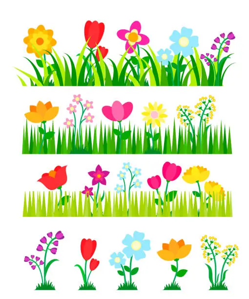 Vector illustration of Different flowers collection with green grass. Flowerbeds set in the garden, vector illustration