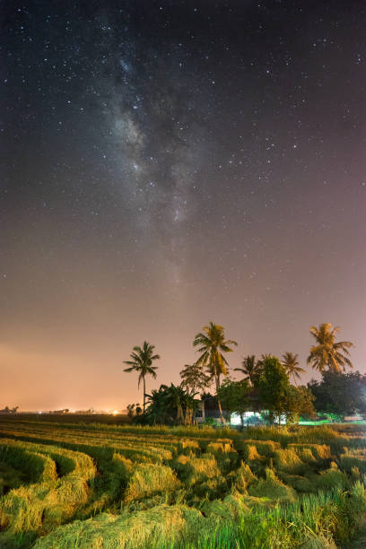 istock Sekinchan Milky way at padyy field 1136809232