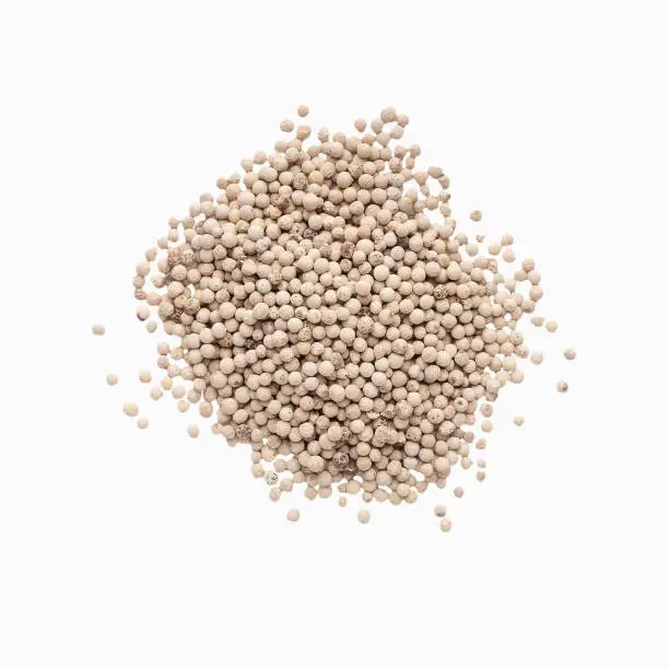 Photo of Pile of white pepper , top view