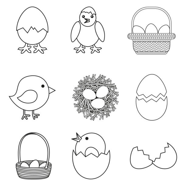 라인 아트 흑백 치킨 계란 세트 - animal egg chicken new cracked stock illustrations