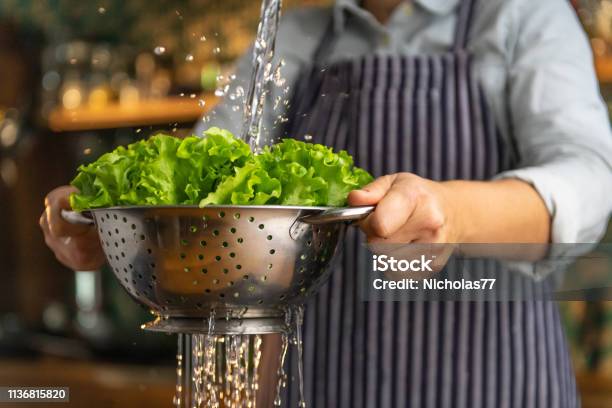 Rinsing Salad Stock Photo - Download Image Now - Lettuce, Washing, Vegetable
