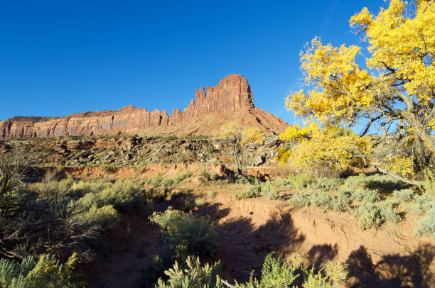 istock rocky cliff near Moab 1136816194