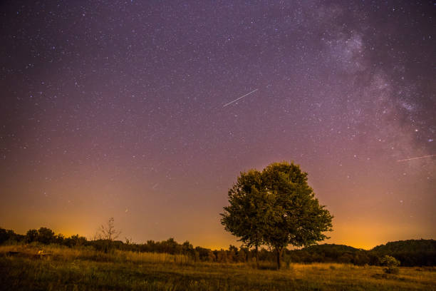 istock Night scenery: Stars, meadow and a tree. Purple and warm tones 1136817270