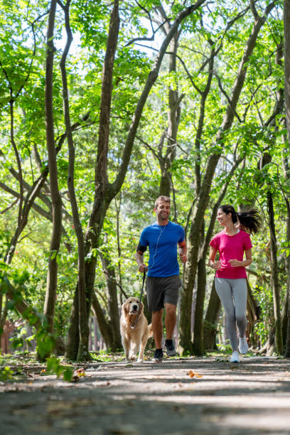 istock Athletic couple running at the park with their dog 1136817440