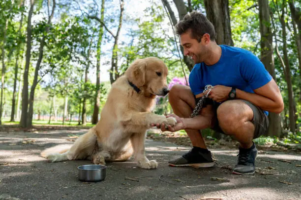 Photo of Happy man training with his dog at the park