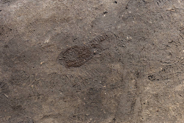istock texture of a dirt road with boots imprint 1136818991