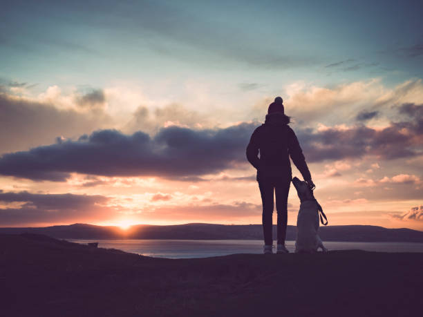 silueta de la mujer de la mano de su perro al atardecer - landscape scenics beach uk fotografías e imágenes de stock