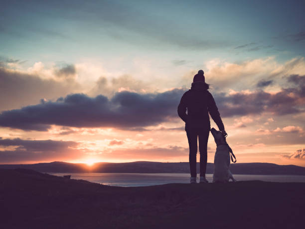 석양에 그녀의 개를 손으로 여자의 실루엣 - landscape scenics beach uk 뉴스 사진 이미지