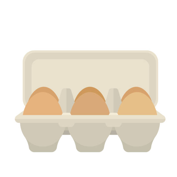 Egg box with 6 eggs, flat vector design Open egg box with 6 brown eggs, flat vector design single object paper box tray stock illustrations