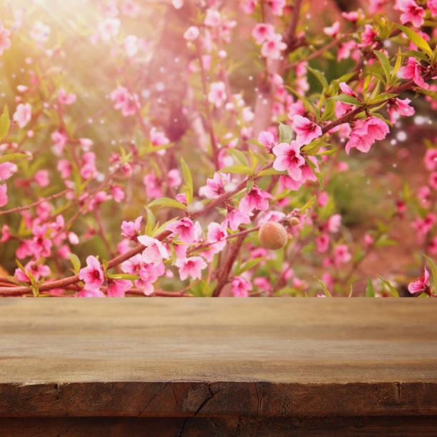 istock wooden table in front of spring blossom tree landscape. Product display and presentation 1136823880