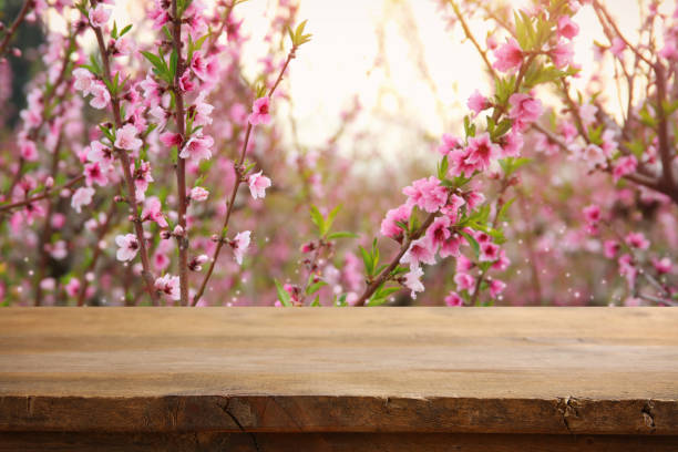 istock wooden table in front of spring blossom tree landscape. Product display and presentation 1136823882