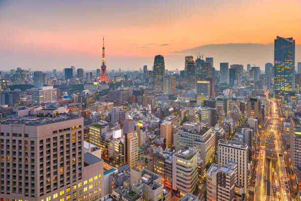 istock Tokyo, Japan cityscape and tower after sunset. 1136825099
