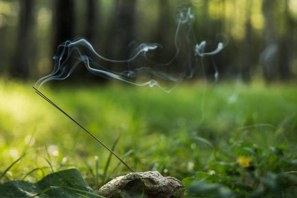 istock Lit incense sticks standing in a natural stone with shell prints ammonite , smoke on a background of grass and trees. 1136825450