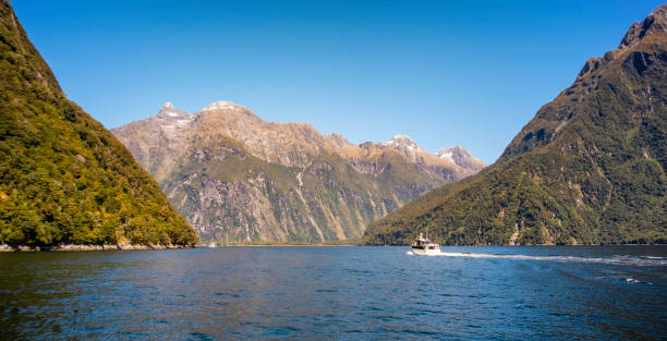 istock Cruising Down Milford Sound 1136825495