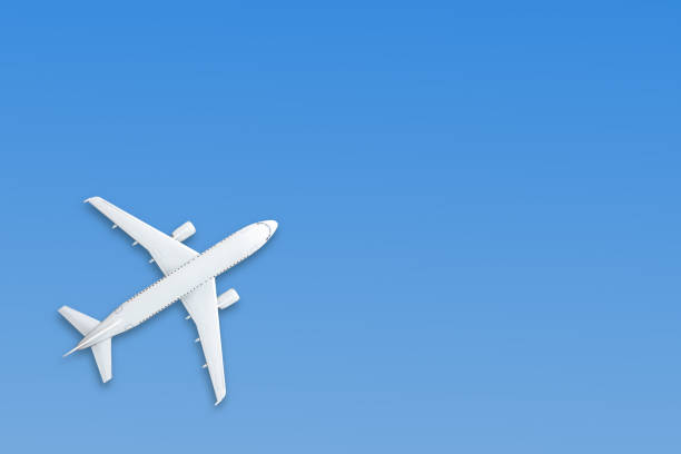 istock Blue pastel paper airplane on background. Minimal concept. 1136827604