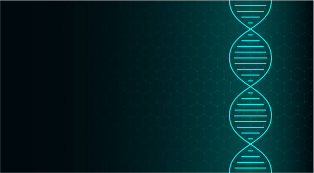 illustrazioni stock, clip art, cartoni animati e icone di tendenza di molecola astratta di dna, elica al neon su sfondo verde. scienze mediche, genetica, biotecnologia, chimica, biologia. - genetic mutation