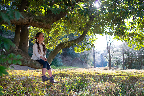 Girl sitting on the tree