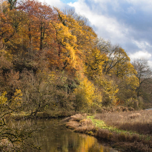 istock Autumn on the River Lathkill in Derbyshire 1136829811