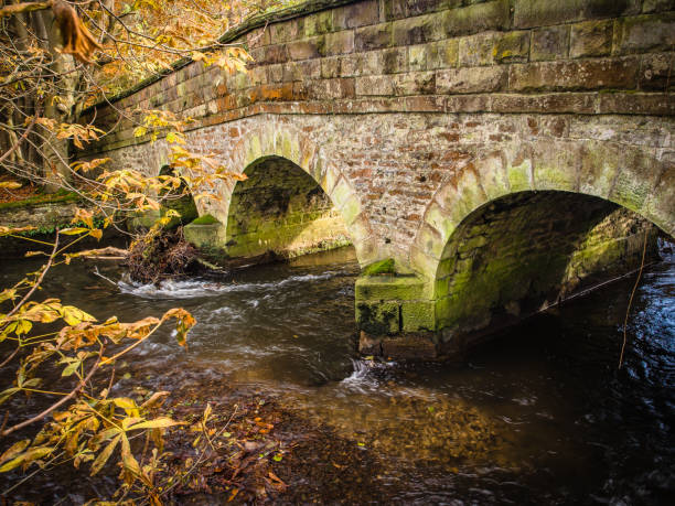 istock Derbyshire RiverWye in autumn 1136829918