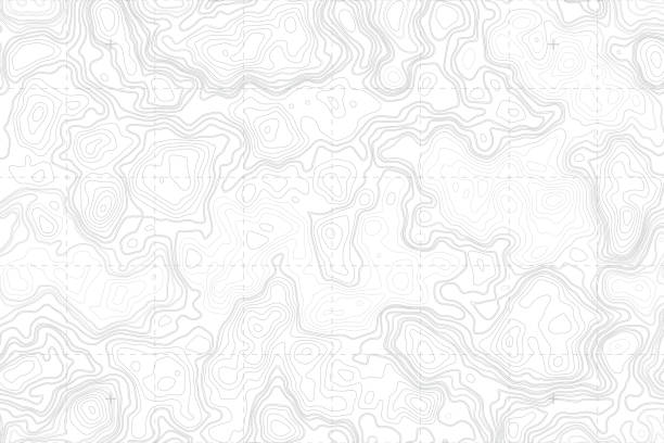 Vector Abstract Blank Topographic Contour Map Abstract Blank Detailed Topographic Contour Map Subtle White Vector Background military texture stock illustrations