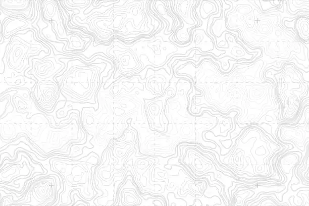 Vector illustration of Vector Abstract Blank Topographic Contour Map