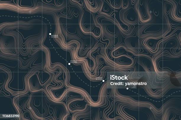 Conceptual Vector Alien Terrain Topographic Map Stock Illustration - Download Image Now - Topography, Landscape - Scenery, Technology