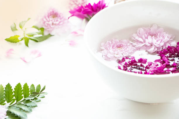 istock The fresh flower on white ceramic pot,the aromatic background, 1136835270