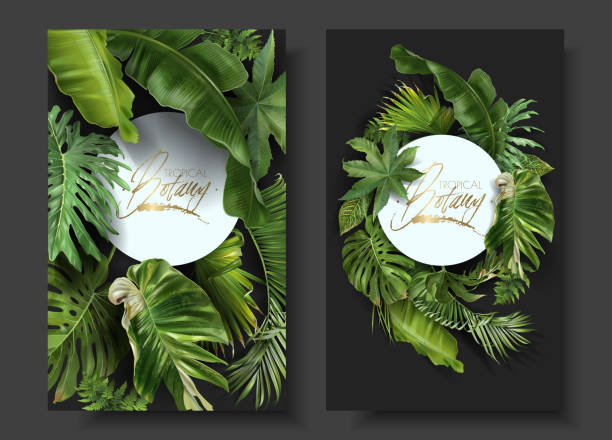 Vector round banners with green tropical leaves Vector round banners with green tropical leaves on black background. Exotic botanical design for cosmetics, spa, perfume, beauty salon, travel agency, florist shop. Best as wedding invitation cards banana borders stock illustrations