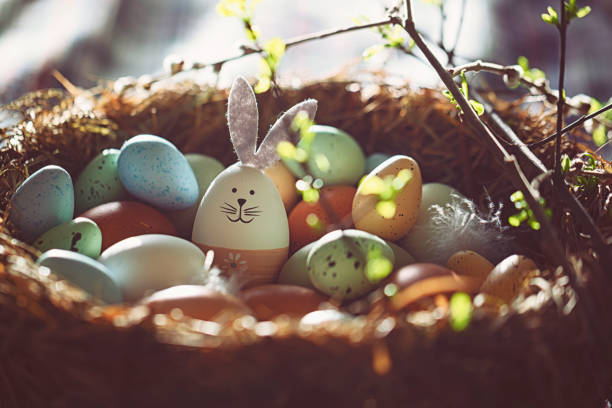 Easter decoration with crafted Easter bunny in the sunny nest Easter decoration with crafted Easter bunny in the sunny nest easter bunny stock pictures, royalty-free photos & images