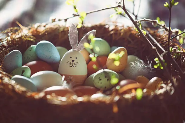 Photo of Easter decoration with crafted Easter bunny in the sunny nest