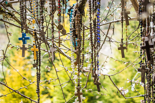 This is a capture of a branch of a tree which hold a lot of rosaries. Faithful people come to this tree and put their wish on it and pray