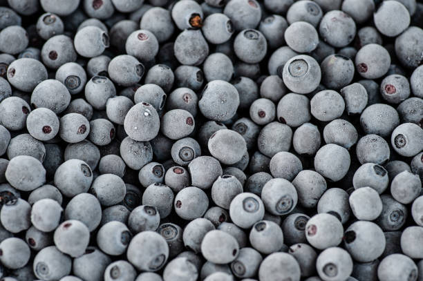 istock frozen blueberries covered by frost 1136836523