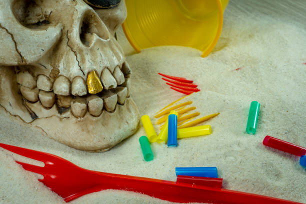 Human skull and teeth