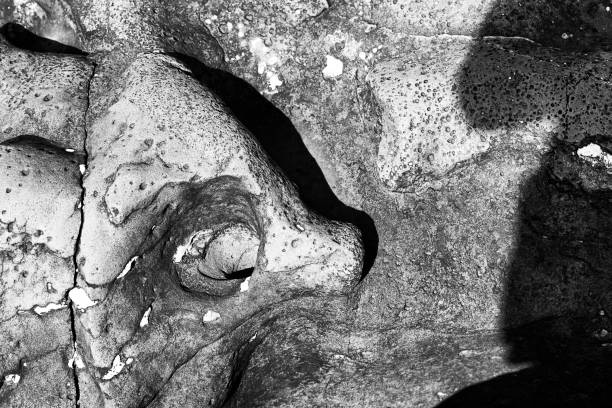 istock Abstract Landscapes of Stones molds and forms 1136838155