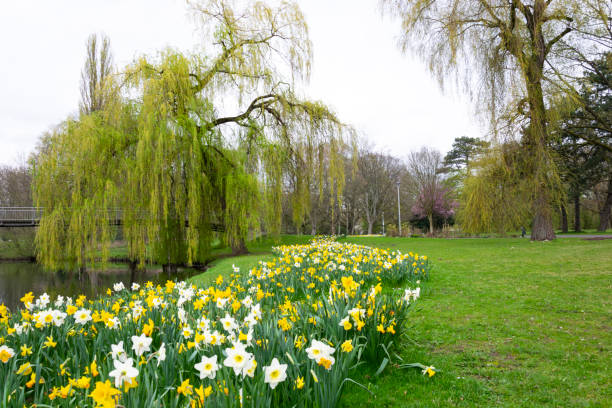 istock Spring in Buerger Park, Braunschweig 1136839097