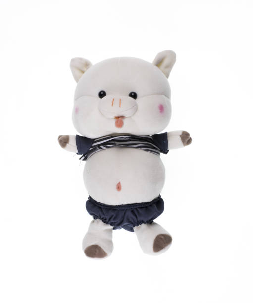 istock toy plush kitten on a white background 1136839817