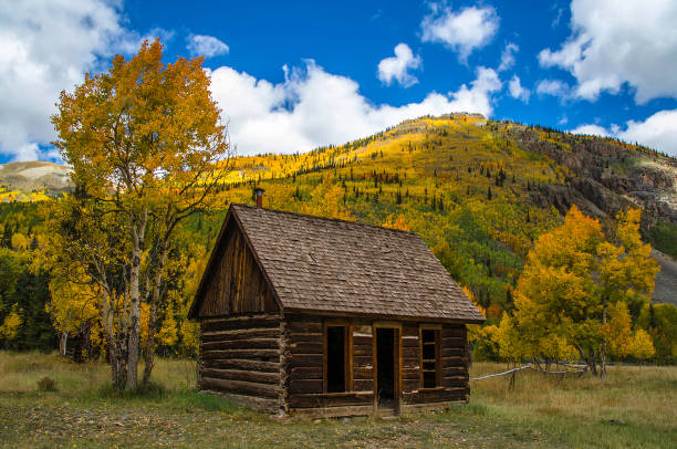 istock Aspen leaves changing in autumn in Colorado 1136840181