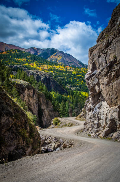 istock Aspen leaves changing in autumn in Colorado 1136841214