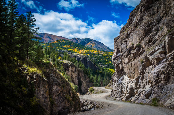 istock Aspen leaves changing in autumn in Colorado 1136841331