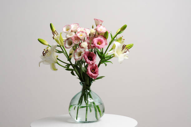 istock beautiful elegant flowers 1136841714