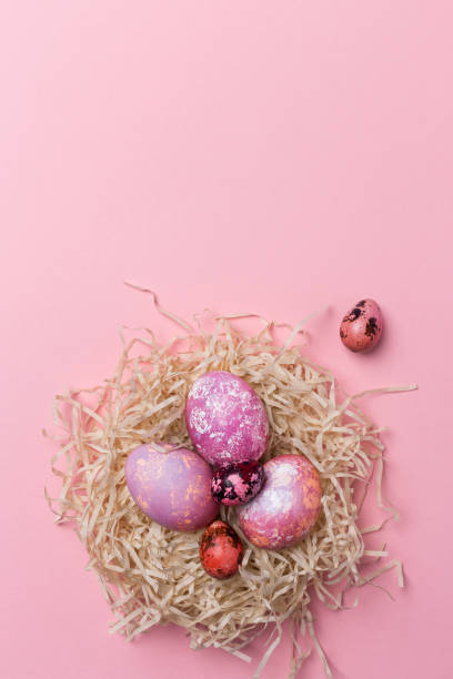 istock Festive Easter copy space with pink eggs in nest on pink background 1136844579