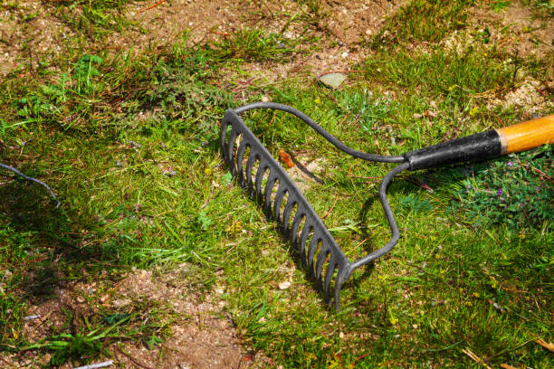istock Garden Rake on Green and Dirt Yard 1136846549