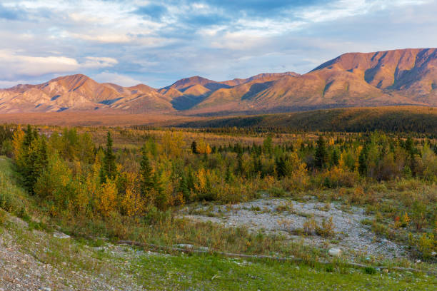 istock Denali National Park Autumn Landscape 1136848260