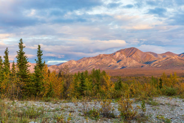 istock Denali National Park Autumn Landscape 1136849572