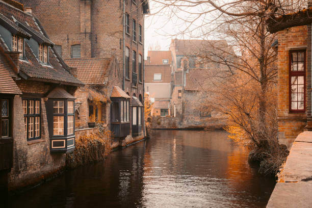 città storica di brugge all'alba, fiandre, belgio - bruges cityscape europe autumn foto e immagini stock