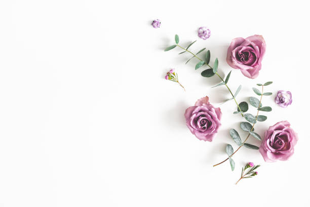 istock Flowers composition. Pattern made of eucalyptus branches and rose flowers on white background. Flat lay, top view, copy space 1136850980