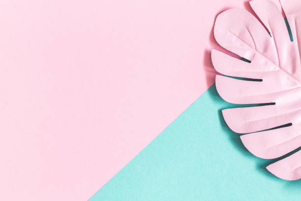 Summer composition. Tropical palm leaf on pastel pink blue background. Summer concept. Flat lay, top view, copy space