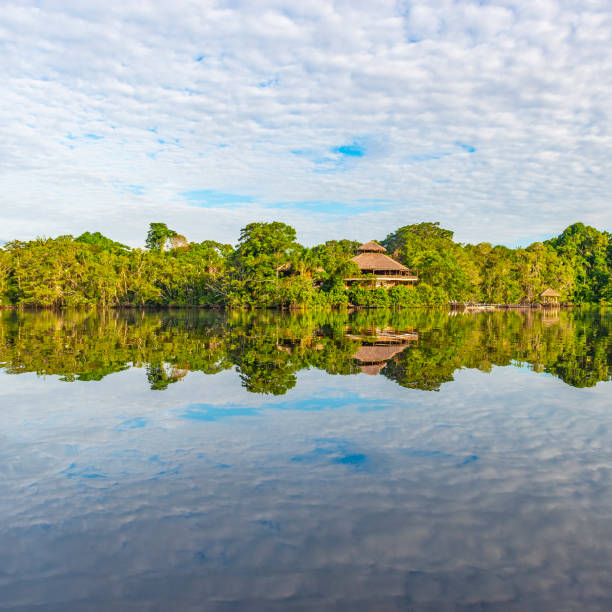 istock Amazon Rainforest Lodge, Yasuni National Park, Ecuador 1136852625