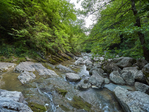 istock Mountain river flows through the cliffs into the gorges with thick green forest 1136854043